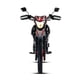 thumbnail image 5 of Motocicleta Doble Proposito TRECK MATT 250 2025 Gris/Rojo, 5 of 11