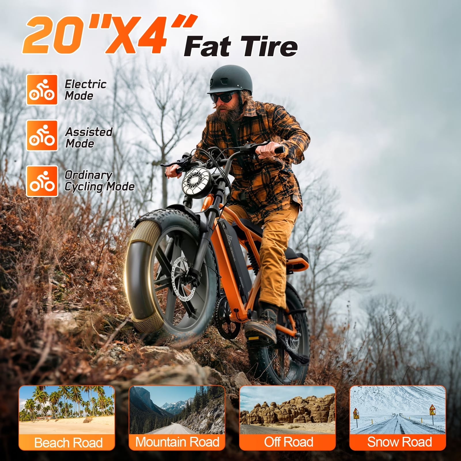TST Electric Bike for Adults, 750W Motor, 20"x4" Fat Tire, E Mountain Bike, 48V/15AH UL2849