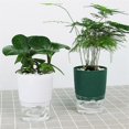thumbnail image 5 of 1Pc Plant Pot Self Watering Clear Plastic Flowerpot Double-Layer Water Storage Red, 5 of 5