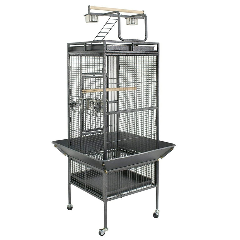 Image showcasing Conure Bird Cages