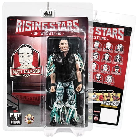 Rising Stars of Wrestling Action Figure Series: The Young Bucks Matt Jackson price history on PriceWatchPro