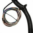 thumbnail image 3 of LS1 4L60E Stand Alone Harness Fit LS SWAP 4.8 5.3 6.0 97-06 Drive by Cable DBC, 3 of 3