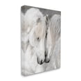 thumbnail image 3 of Hugging Horse Duo Wildlife Animals & Insects Photograph Gallery Wrapped Canvas Print Wall Art, 3 of 7