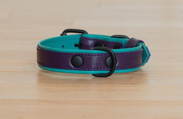 Dog Collar, Purple Dog Collar with Teal Inner Liner - 2XL/3XL