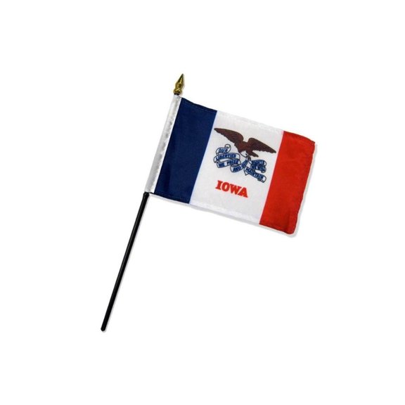 Iowa 4x6in Stick Flag