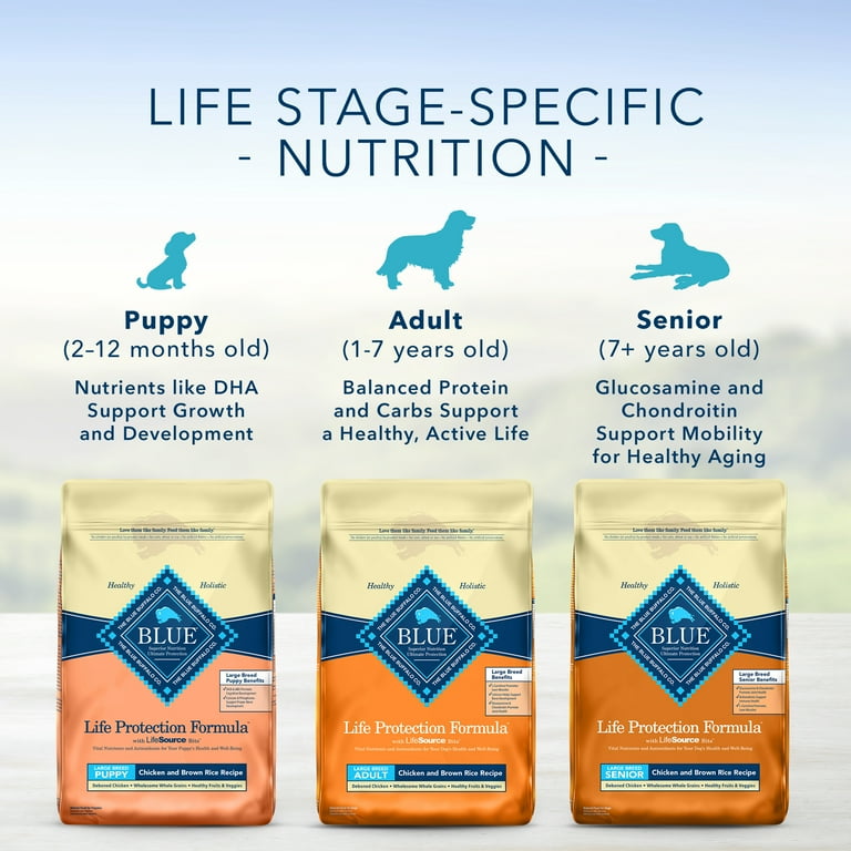 Blue buffalo senior dog food deals