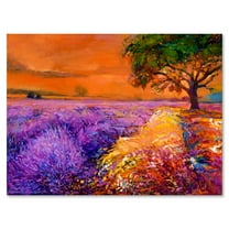 Designart ' An Orange Sunset Over Purple Lavender Fields II ' Farmhouse Canvas Wall Art Print