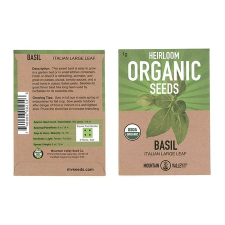 Organic Basil Herb Garden Seeds - Italian Large Leaf - 1 Gram Packet: Approx 600 Seeds - Non-GMO Culinary Herb Gardening,