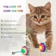 thumbnail image 5 of Juego de 6 pelotas de juguete para gatos, de sisal, para jugar en interiores de forma interactiva con gatos y gatitos, con cascabel., 5 of 5