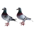 thumbnail image 1 of DOLITY Artificial Foam Pigeons Simulation Foam Pigeon Model Miniature Artificial Pigeon 2Pcs C, 1 of 9