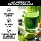 thumbnail image 3 of Suplemento Alimenticio Beyond Vitamins Super Greens, Jugo Verde en Polvo con Té Matcha, Espirulina, Bloom 150g, 3 of 6