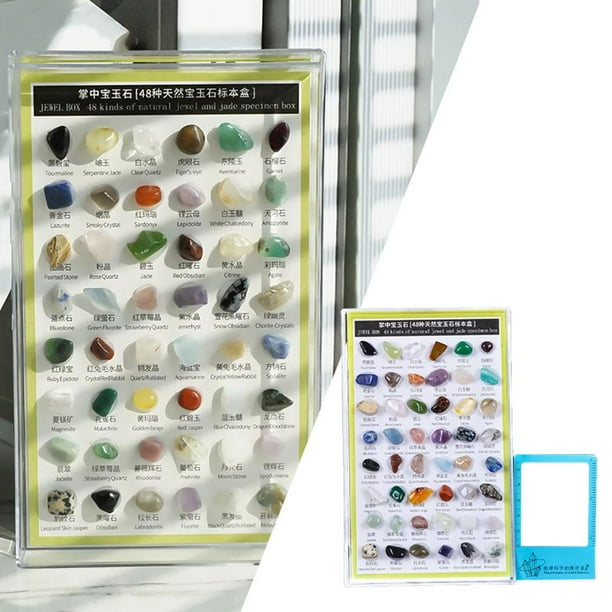 Colección de minerales Hugo Cristal de piedras preciosas para niños 48 Piezas