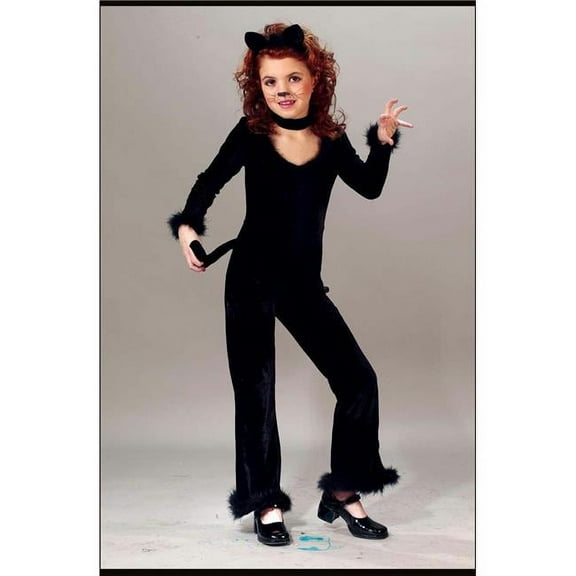 Playful Kitty 4 To 6