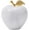 Ziarat White, variant on Radicaln White Onyx Marble Apple Paperweight 3" – Handcrafted Desk & Table Decor Accent for Home, Office, Study Room, and Giftable Shelf Styling