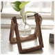 thumbnail image 4 of Jarrón de madera transparente con forma de planta hidropónica creativa, pequeño recipiente para plantas frescas, decoración moderna para sala de estar, 4 of 5