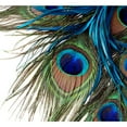 thumbnail image 2 of CafePress - Peacock Feathers Throw Blanket - Soft Fleece Throw Blanket, 50"x60" for All Ages, 2 of 2