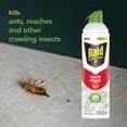 thumbnail image 5 of Raid Essentials Ant & Roach Killer Aerosol Spray, Child & Pet Safe, Kills Insects Quickly, for Indoor Use, 10 oz (Pack of 3), 5 of 8