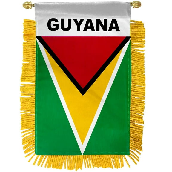 Guyana Mini Banner