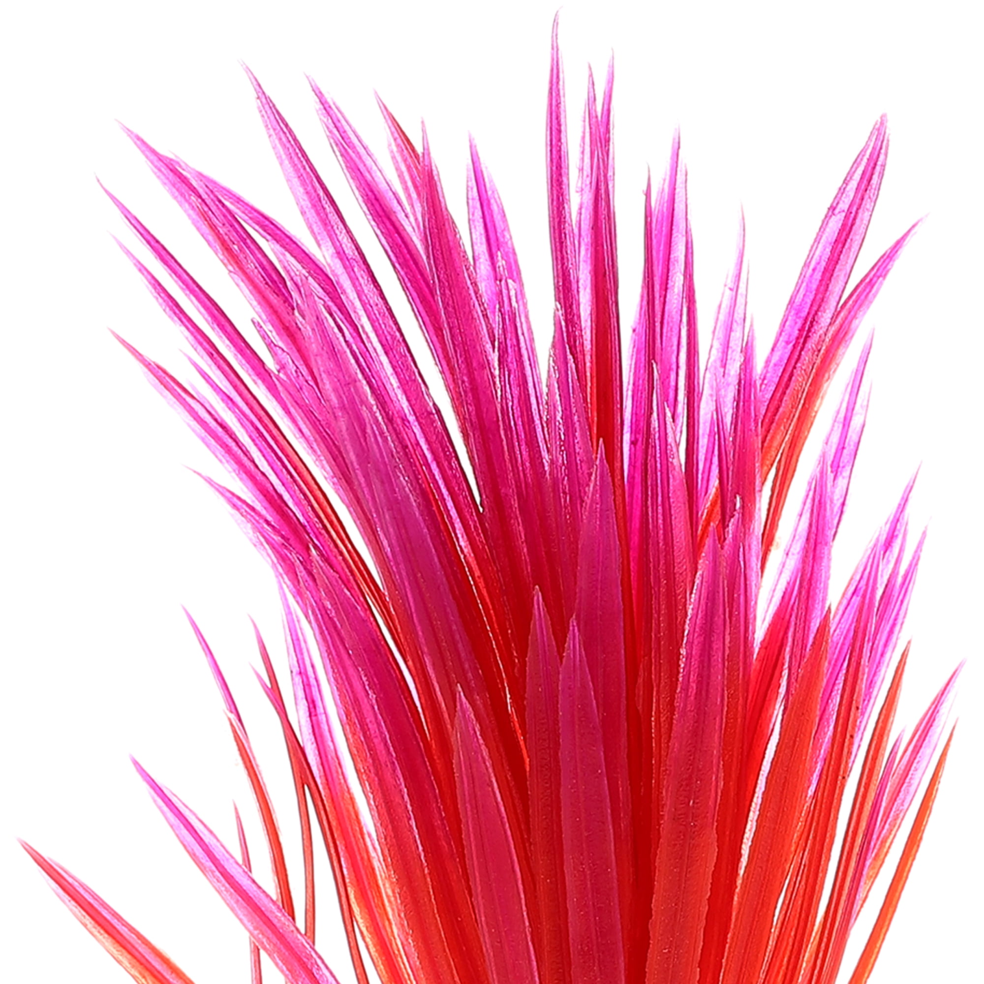 Unique Bargains 2 Pcs Aquarium Plants Decorations Artificial Aquatic Plant Red Pink