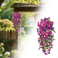 thumbnail image 2 of Uinagy Hanging Morning Glory, 2 of 2