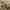 Taupe, variant on GlowSol 2 Panels 27"W x 36"L Kitchen Curtains Geometric Light Filtering Cafe Curtains for Dining Room Bathroom, Taupe