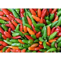 30 Seeds BIRDS Eye CHILI PEPPER (Chiltepin Pepper) Capsicum Frutescens Vegetable Seeds