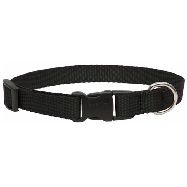 Collier pour Chien Noir Réglable de 75 Po X 9 Po