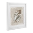 thumbnail image 3 of Stupell Industries Conch Shell over Vintage Pattern White Framed Print Under Glass design by Conrad Knutsen, 13 x 13, 3 of 10