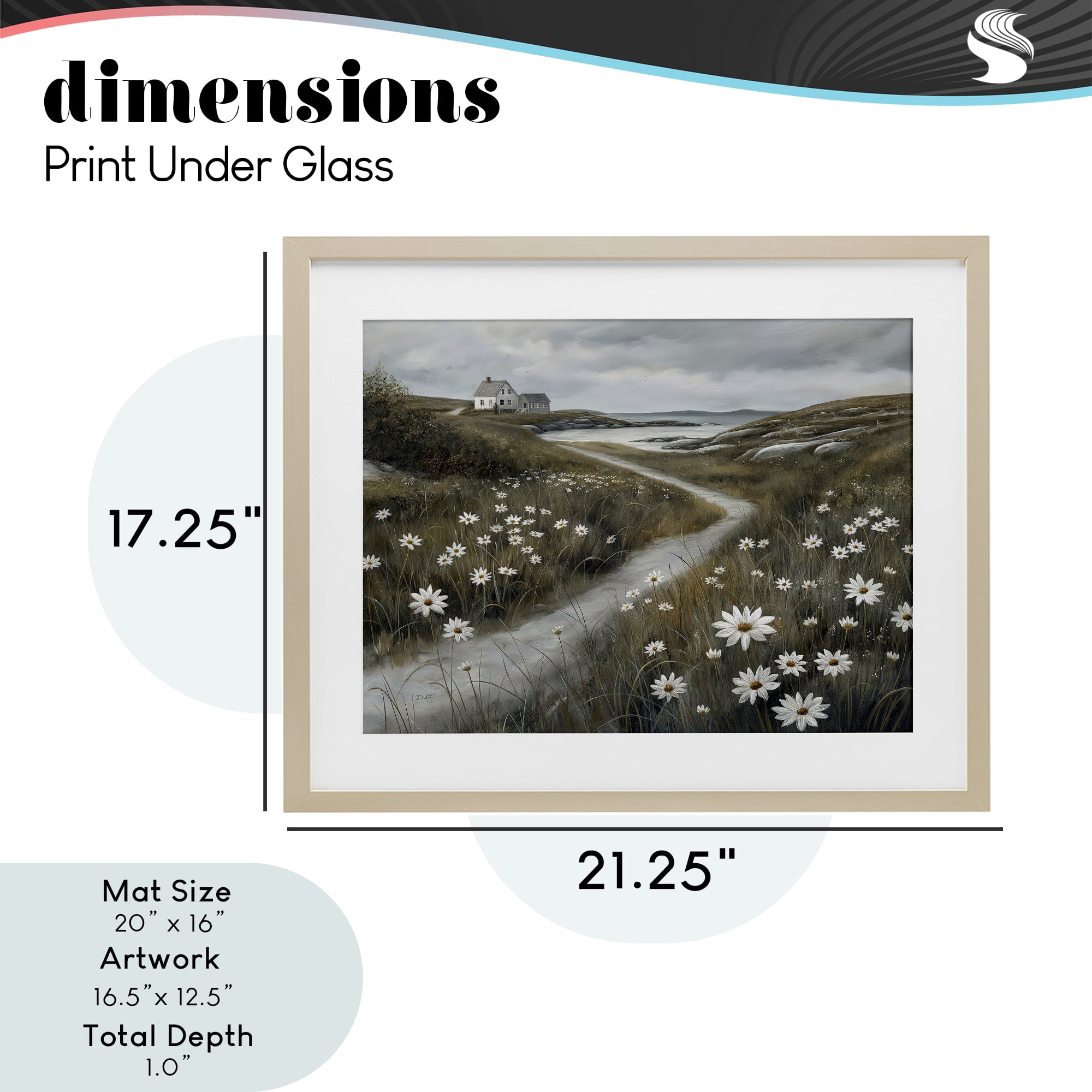 Stupell Industries Daisies Along Coastal Path Birch Framed Print Under Glass, design by Imagine It Images