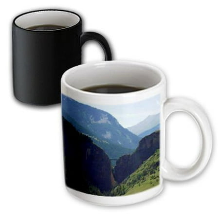 Bat Magic - 3dRose Black Halloween Bat, Magic Transforming Mug, 11oz