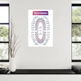 thumbnail image 3 of Tooth Number Chart Anatomy with Numbering SystemDental Education Poster Canvas for Living Room Bedroom Decor, 3 of 4