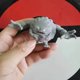 thumbnail image 3 of Figura de acción de Anime Graveler Golem Geodude, mundo de proporción 1:20, impresión 3d Diy, colección de personajes Kawaii, modelo, juguetes para niños, 3 of 4