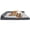 Mink, variant on FurHaven Pet Products Two-Tone Faux Fur & Suede Orthopedic Deluxe Chaise Lounge Pet Bed for Dogs & Cats - Espresso, Jumbo