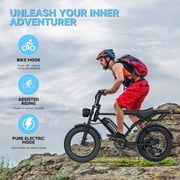 AOVOPRO AP20 Electric Bike for Adults 20 X 4.0 Fat Tire, 750W Off-Road E Bike, E-Mountain Bike 48V 18AH UL2849