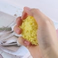 thumbnail image 5 of FUEENIRVA 1Pc Natural Seaweed Bath Sponge Yellow Honeycomb Sponge for Shower and Exfoliating, 5 of 8