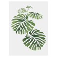 thumbnail image 1 of Sin marco, plantas verdes simples, hojas, pintura al óleo decorativa, imagen, dibujo, póster, decoración de la pared de la habitación Jumpingount JJ16766-09, 1 of 6