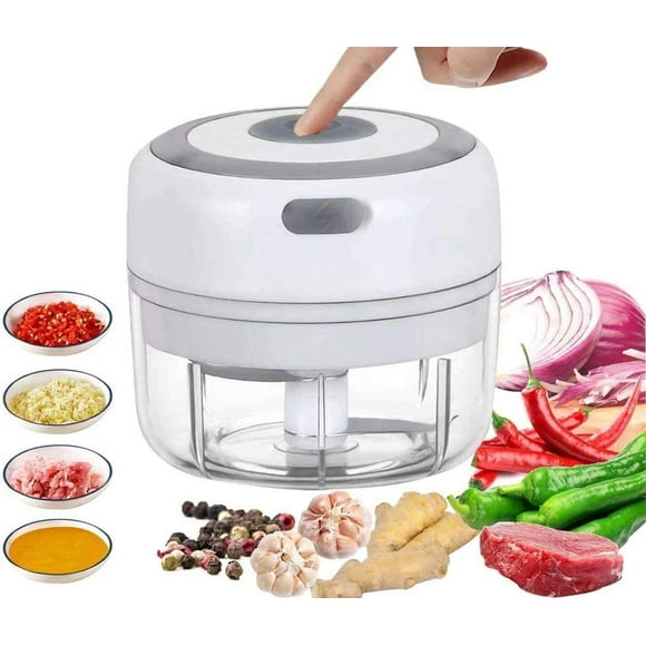 Electric Food Chopper, Portable Fruit Mixer, Meat Grinder, Salad Grinder