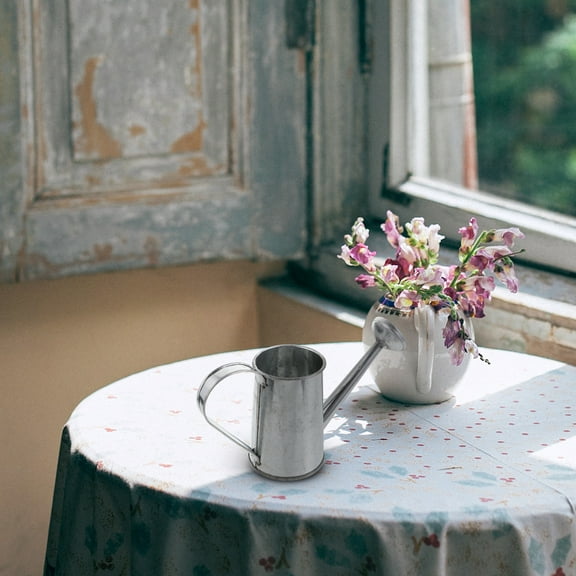 Stri 2pcs Iron Watering Pots Simple Watering Pots Durable Watering Cans for Plant