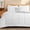 White, variant on RUIKASI 5 Pieces Twin Comforter Set with Sheets, White Bed in a Bag Twin with Comforter and All Season Sheets, Pillowcase & Sham