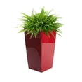 thumbnail image 3 of Algreen Modena 30" Self-Watering Planter, Square Taper, Gloss Red, 3 of 7
