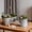 Gray, variant on LHNFT Vintage Iron Watering Can Planter,Decorative Flower Pot for Indoor & Outdoor Garden,Kitchen,Patio & Farmhouse Home Decor