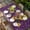 dark purple, variant on Purple Sunshine Sunflower Table Cloths for 4 Foot Rectangle Tables, Pastoral Bees Farmhouse Floral Patio Waterproof Elastic Fitted Tablecloths, Washable Rectangular Table Cover for Camping
