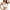 White, variant on Riforla Women's Front Side Buckle Lace Edge Without Steel Ring Movement Seamless Gathering Adjustment Yoga Sleep Large Bra Bras for Older Women Beige 54