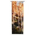 thumbnail image 1 of Fine Art Tapestries Autumn Birch Path Wall Tapestry, 1 of 1