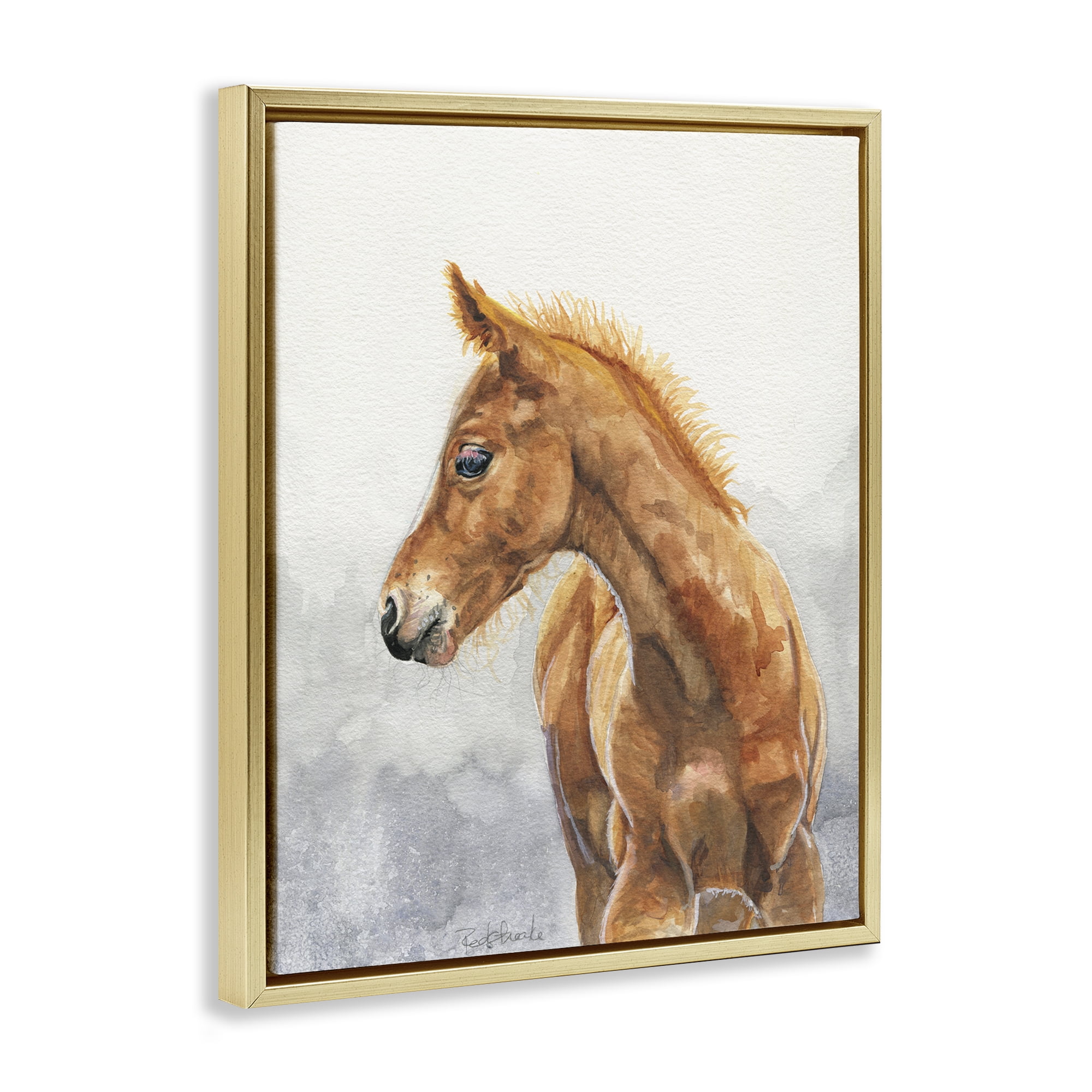 Stupell Industries Watercolor Brown Foal Animals Painting Gold Floater Framed Canvas Art Print Wall Art, 25 x 31