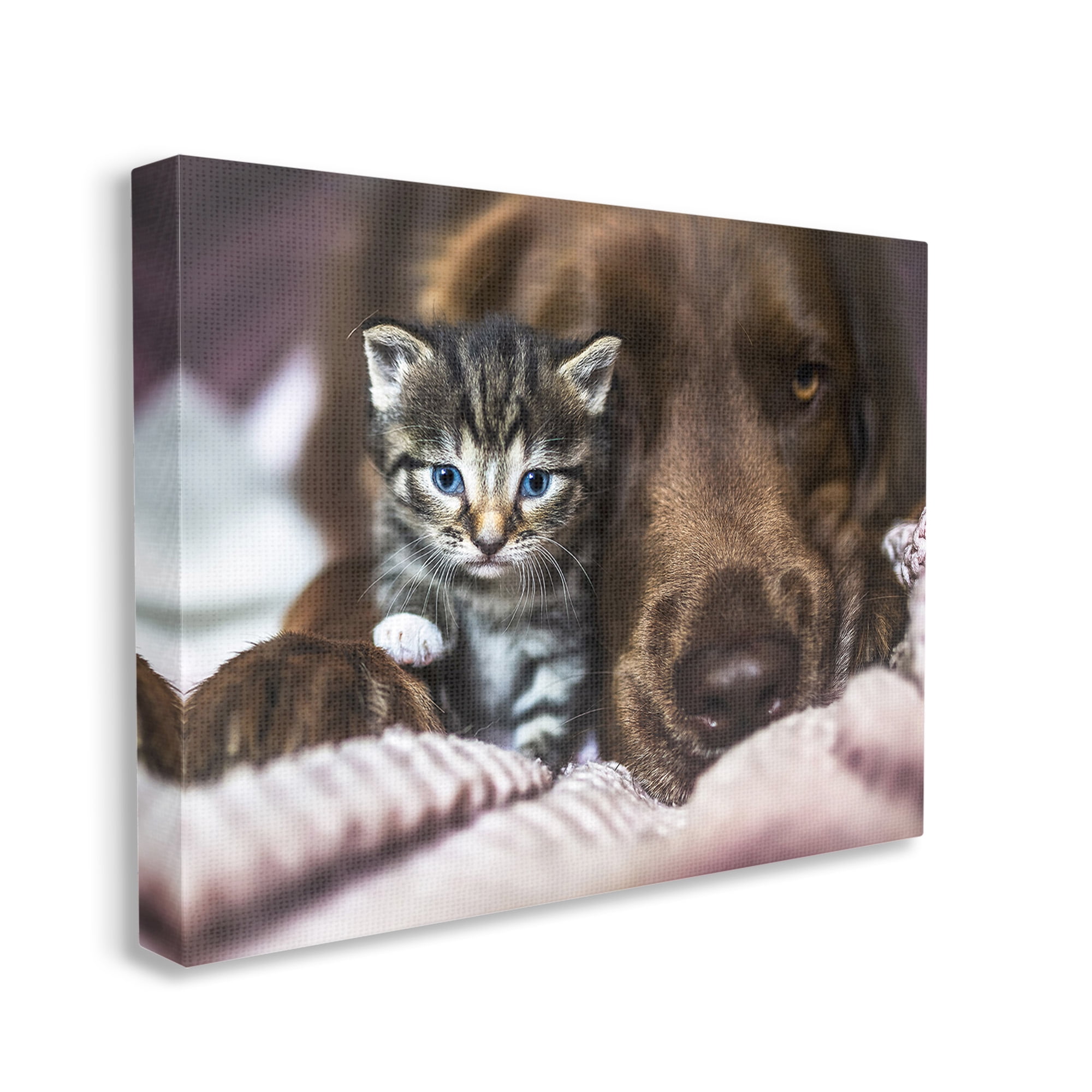 Stupell Industries Kitten & Dog Snuggling Animals & Insects Painting Gallery Wrapped Canvas Art Print Wall Art, 40 x 30
