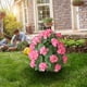 thumbnail image 5 of Fiudx Flores Artificiales, Elegante Decoración de Manzano Silvestre de Seda, Estacas Resistentes Incluidas, Decoración de Suelo de Geranio de Bajo Mantenimiento, Ideal para Jardín, Patio y Jardín, Me, 5 of 6
