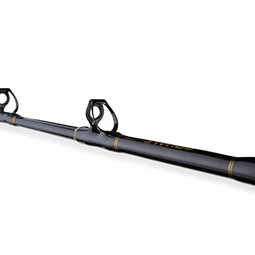 PENN Squall 30 Level Wind Fishing Rod and Trolling Reel Combo, 6.5 Feet 