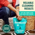thumbnail image 3 of Aunt Fannie's Powder Laundry Detergent, Deep Cleaning, Plant Based, Natural Ingredients, 70 Loads Per Bag, Fragrance Free, 88 Oz, 3 of 5