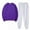 Purple, variant on Autumn Two Piece Sets for Women Plus Size Solid Color Round Neck Pullover Casual Sports Pants Sports Set
